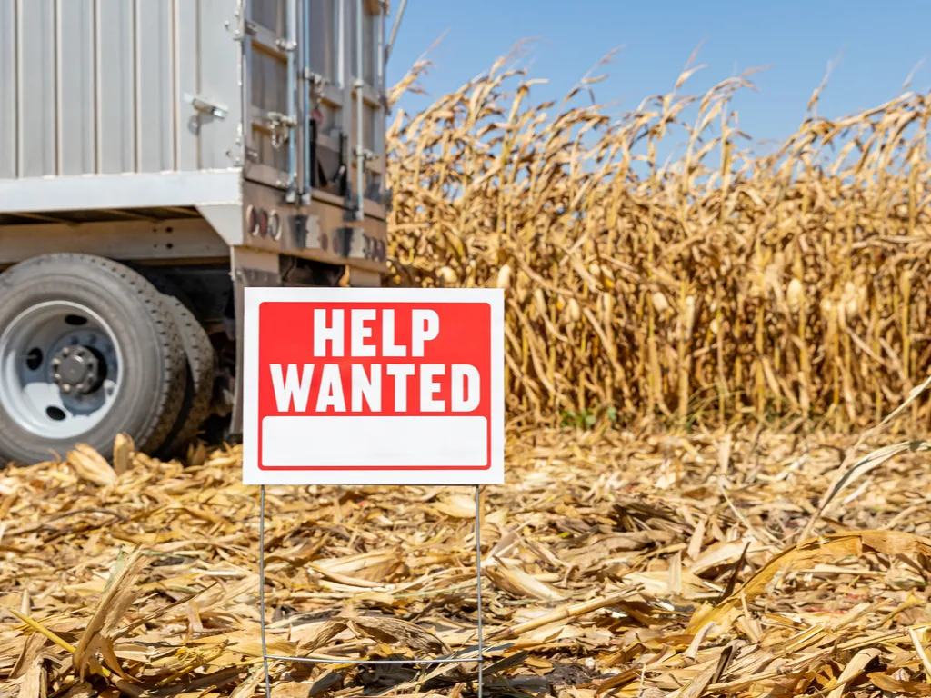 Where Are All the Workers? Understanding the Labor Shortage